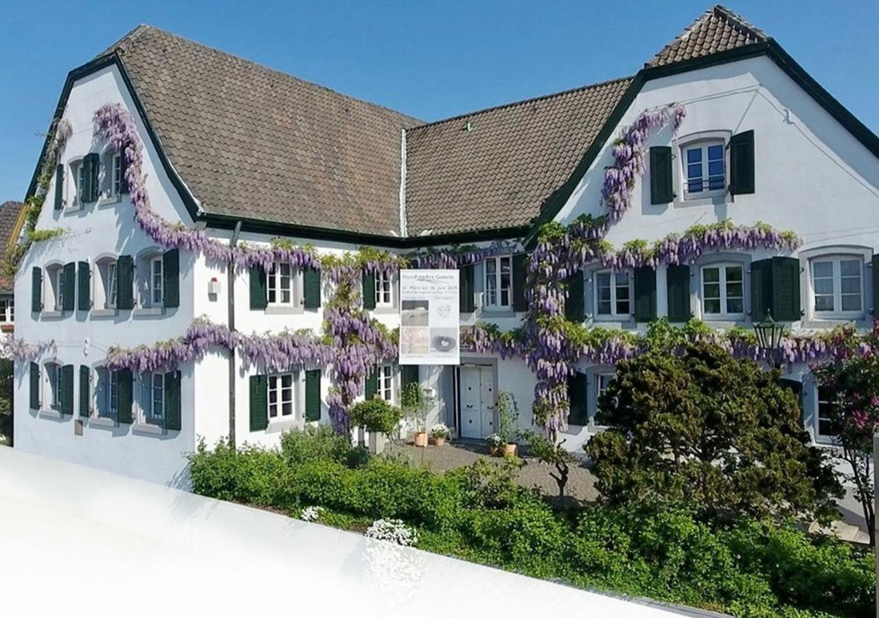 Rhein River Guesthouse - Direkt Am Rhein Леверкузен Екстер'єр фото