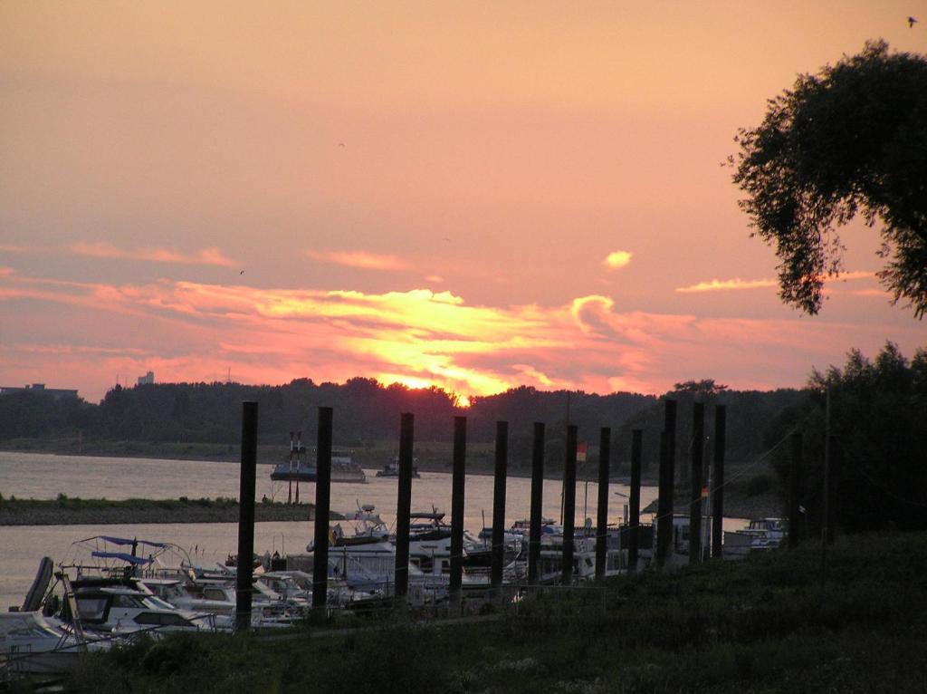 Rhein River Guesthouse - Direkt Am Rhein Леверкузен Екстер'єр фото