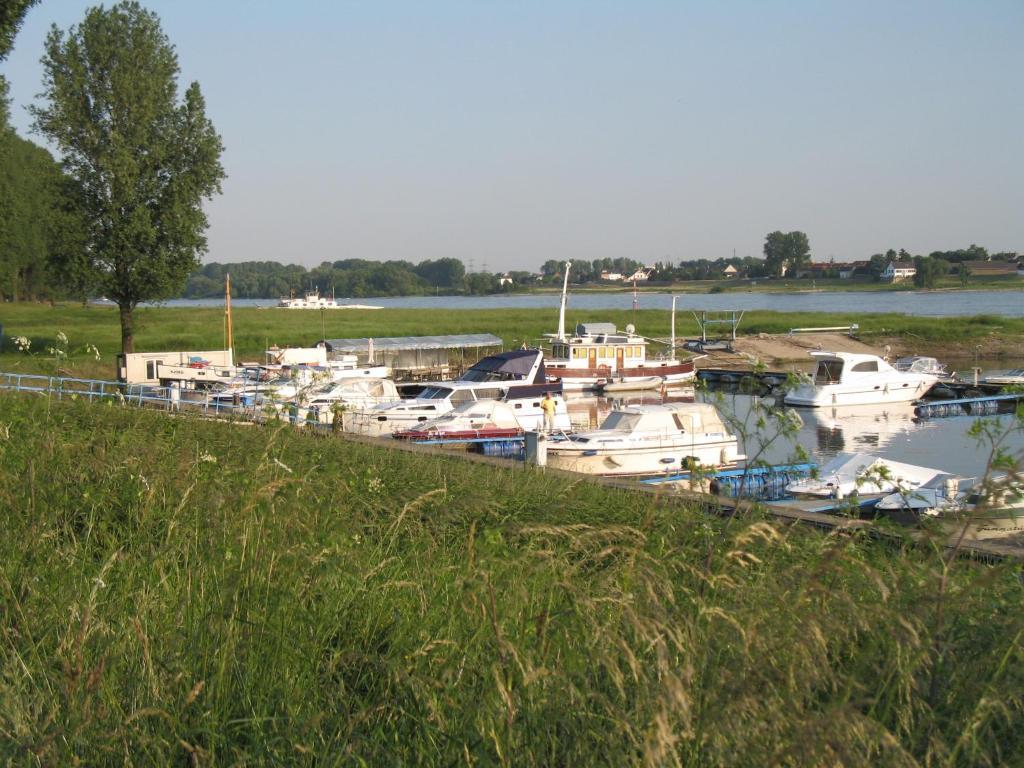 Rhein River Guesthouse - Direkt Am Rhein Леверкузен Екстер'єр фото