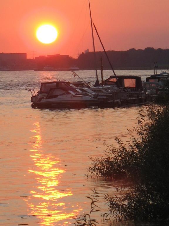 Rhein River Guesthouse - Direkt Am Rhein Леверкузен Екстер'єр фото