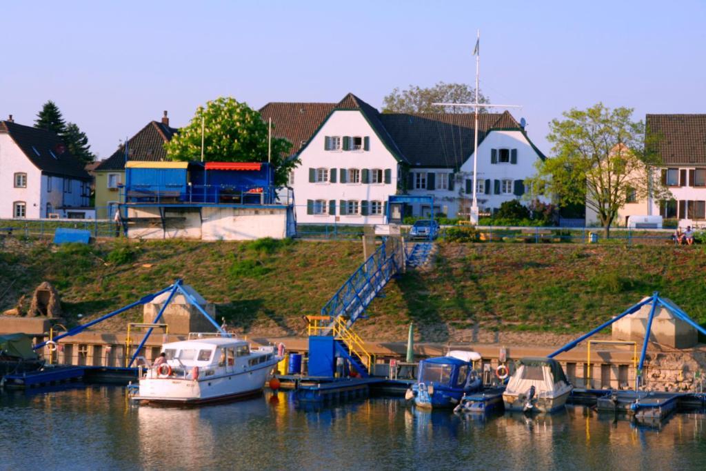 Rhein River Guesthouse - Direkt Am Rhein Леверкузен Екстер'єр фото