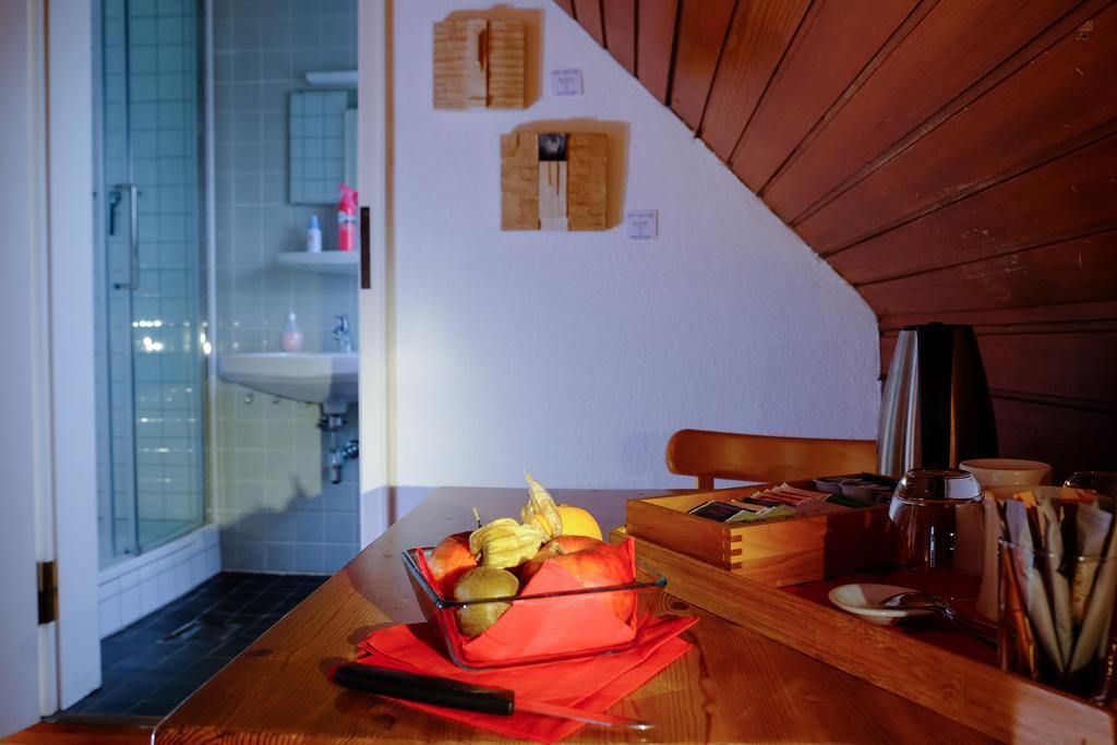 Rhein River Guesthouse - Direkt Am Rhein Леверкузен Екстер'єр фото