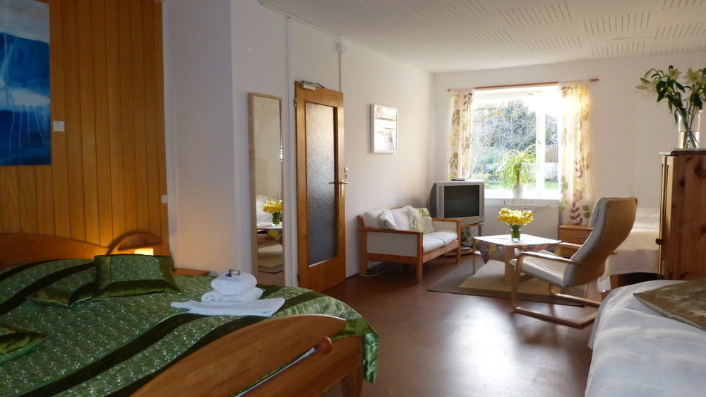 Rhein River Guesthouse - Direkt Am Rhein Леверкузен Екстер'єр фото
