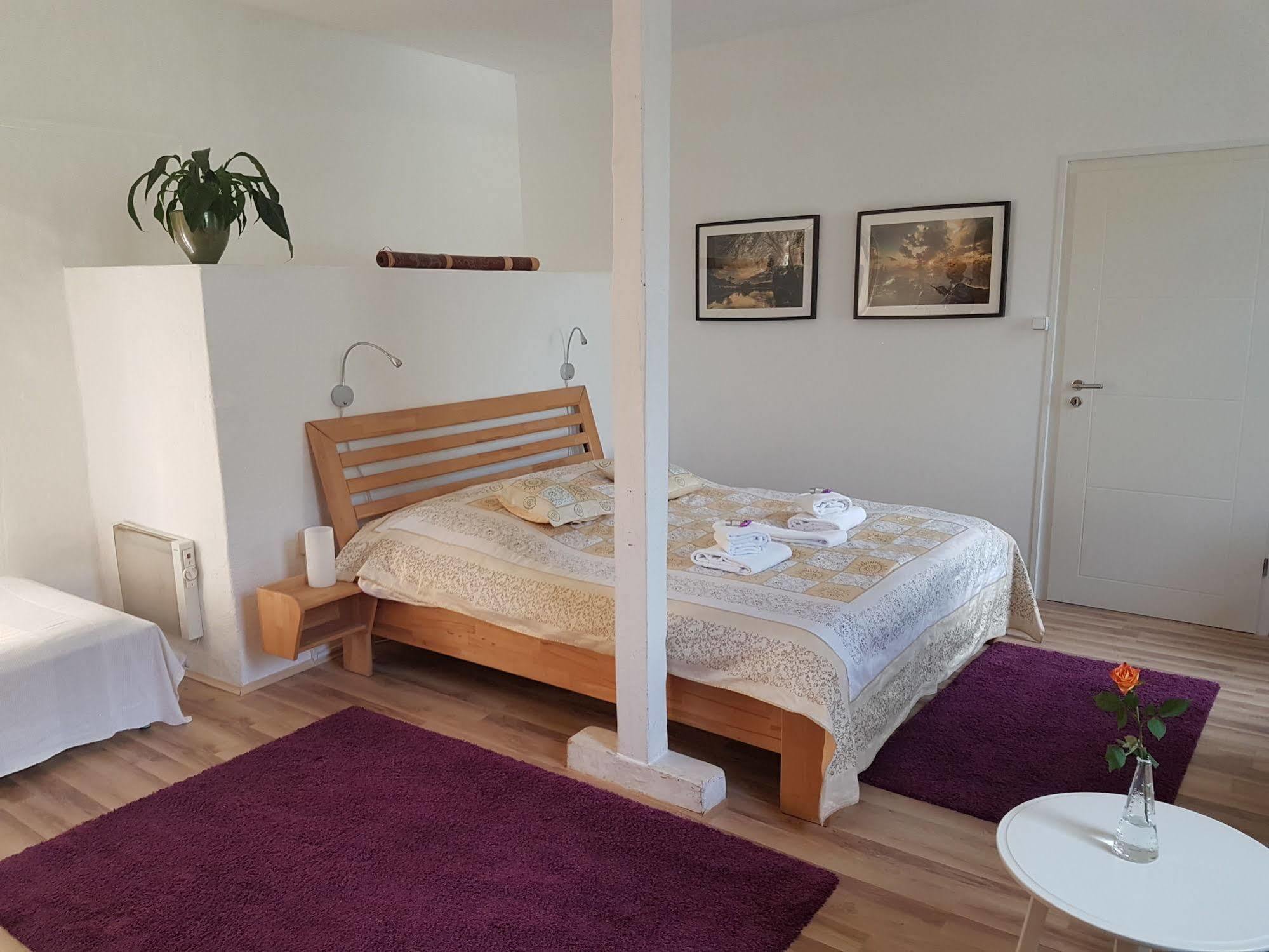 Rhein River Guesthouse - Direkt Am Rhein Леверкузен Екстер'єр фото