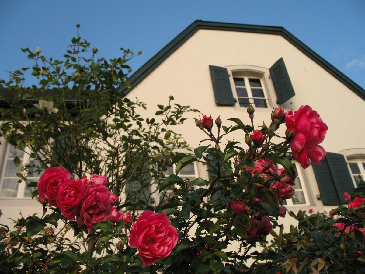 Rhein River Guesthouse - Direkt Am Rhein Леверкузен Екстер'єр фото
